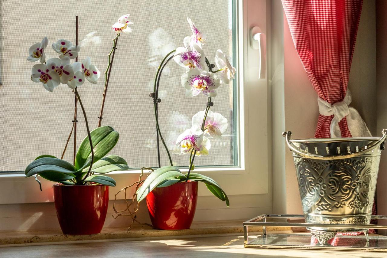 Ferienwohnung Jenzigblick 耶拿 外观 照片